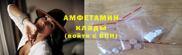индика Арсеньев