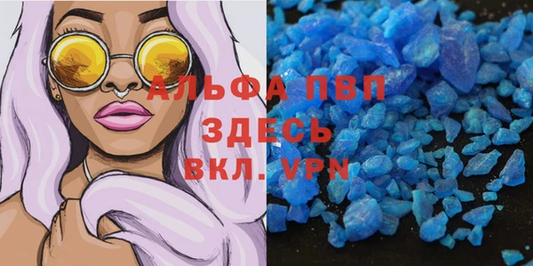 гидра Аркадак