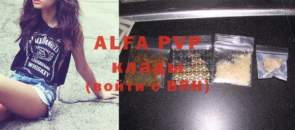 индика Арсеньев