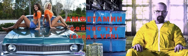 гидра Аркадак