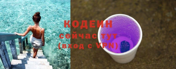 индика Арсеньев