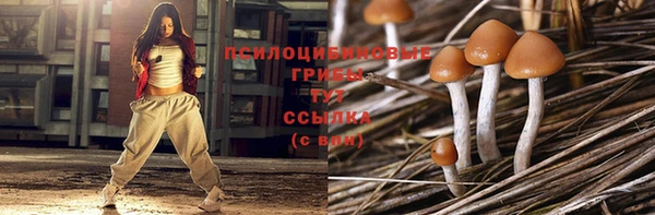 гидра Аркадак