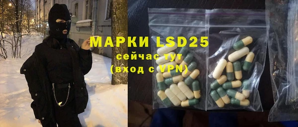 индика Арсеньев